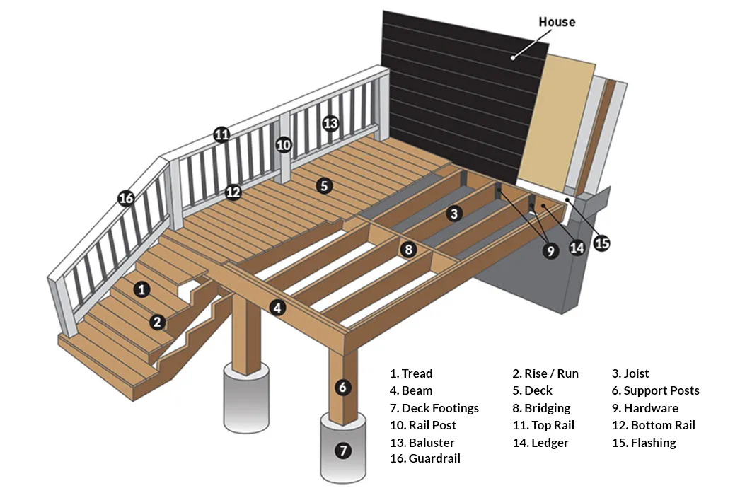 Deck Anatomy